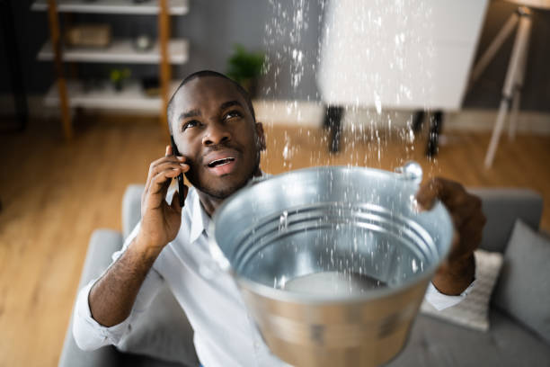 Best Flood restoration services  in San Castle, FL