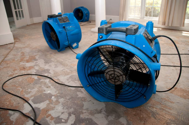 Best Water damage restoration near me  in San Castle, FL