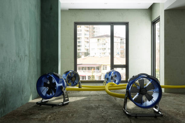 Best Basement water damage restoration  in San Castle, FL